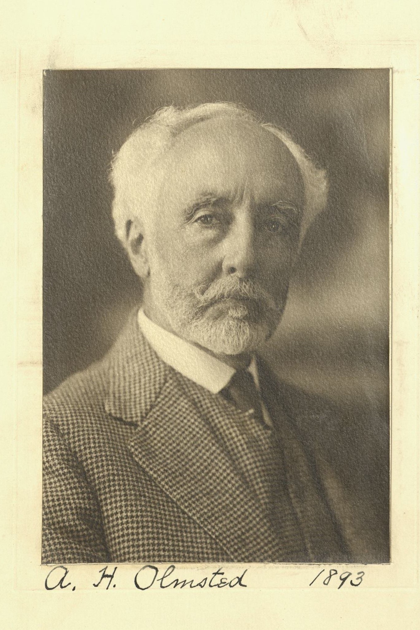 Member portrait of A. H. Olmsted